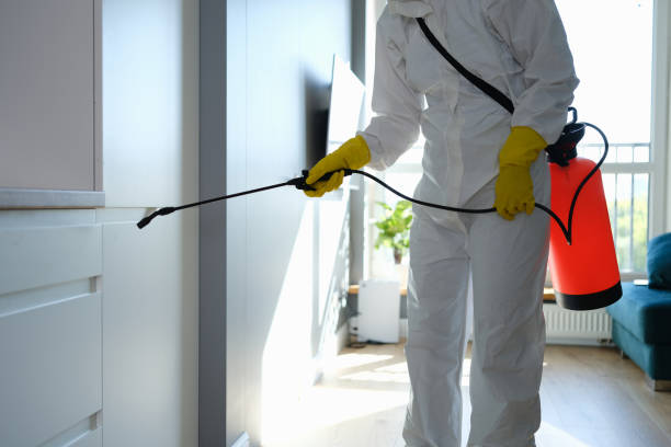 Best Residential Mold Remediation in Canyon, TX