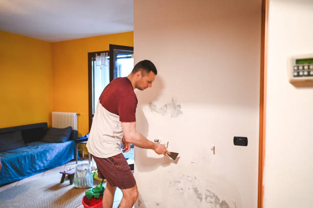 Trusted Canyon, TX Mold Remediation Experts